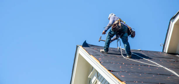 Best Storm Damage Roof Repair  in Hammonton, NJ